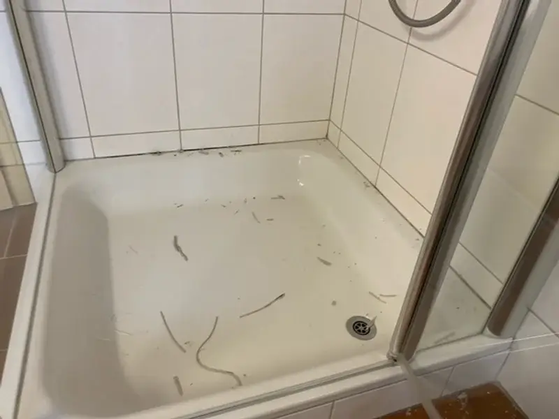 Fugensanierung im Duschbereich in der Ostschweiz