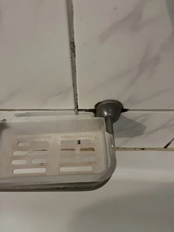 Zementfugen mit Schimmelbefall im Badezimmer in der Ostschweiz